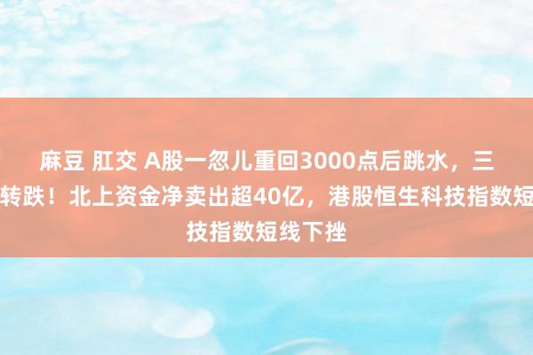 麻豆 肛交 A股一忽儿重回3000点后跳水，三大指数转跌！北上资金净卖出超40亿，港股恒生科技指数短线下挫