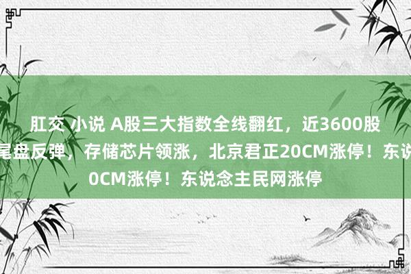 肛交 小说 A股三大指数全线翻红，近3600股高潮，芯片股尾盘反弹，存储芯片领涨，北京君正20CM涨停！东说念主民网涨停