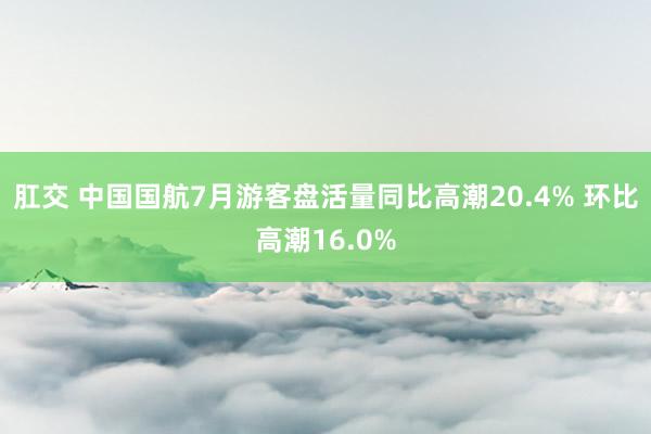 肛交 中国国航7月游客盘活量同比高潮20.4% 环比高潮16.0%