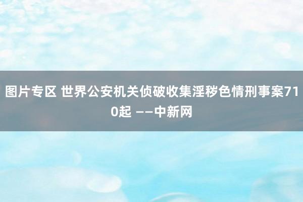 图片专区 世界公安机关侦破收集淫秽色情刑事案710起 ——中新网