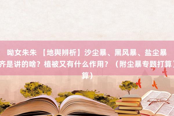 呦女朱朱 【地舆辨析】沙尘暴、黑风暴、盐尘暴齐是讲的啥？植被又有什么作用？（附尘暴专题打算）